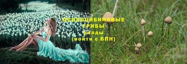 хмурый Армянск